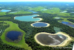Pantanal_salina
